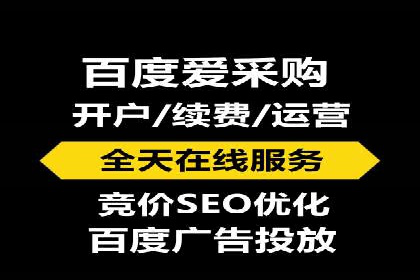 百度竞价广告运营全解析：成功案例揭秘
